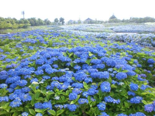 Imagen general del Kuwana Park Hotel - Vacation STAY 66850v. Foto 13