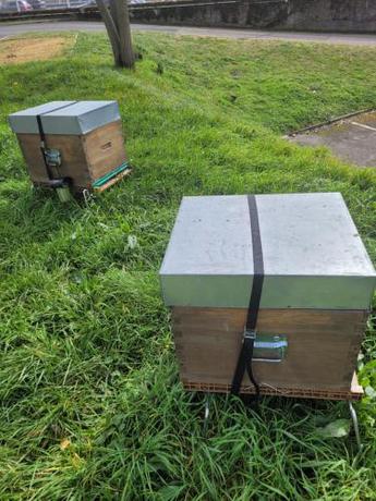 Imagen general del Kyriad Direct Lyon Nord - Dardilly. Foto 6