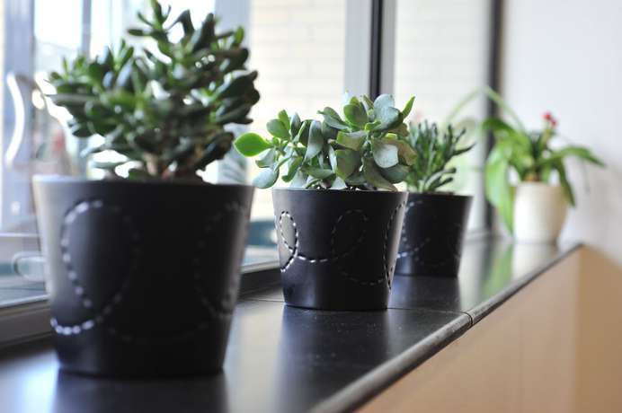 Imagen del bar/restaurante del L\'Acanthe Hôtel. Foto 3