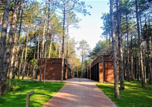 Imagen general del LONGOSPHERE GLAMPING. Foto 2