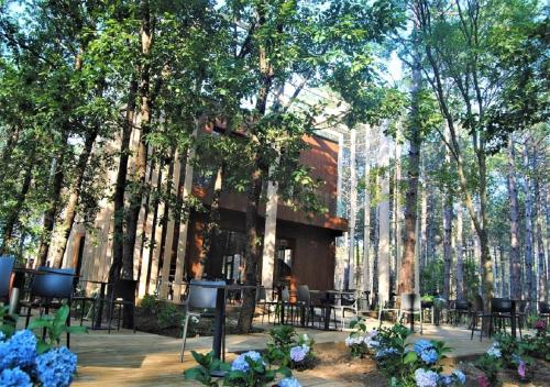 Imagen general del LONGOSPHERE GLAMPING. Foto 5