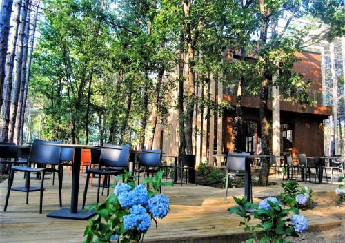 Imagen general del LONGOSPHERE GLAMPING. Foto 6