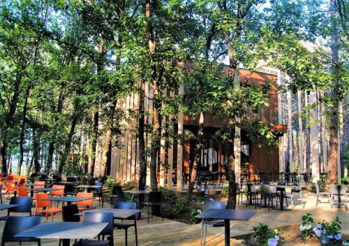 Imagen general del LONGOSPHERE GLAMPING. Foto 7