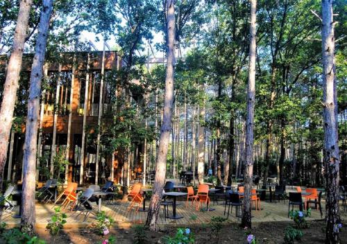 Imagen general del LONGOSPHERE GLAMPING. Foto 8