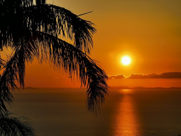 Imagen de la habitación del L\'Ulivo Resort. Foto 19