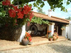 Imagen de los exteriores del La Caldera Vieja. Foto 14