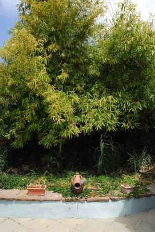 Imagen general del La Camuesa-Adults Only. Foto 6