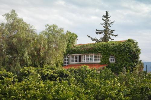 Imagen general del La Casa Verde, Murcia. Foto 6