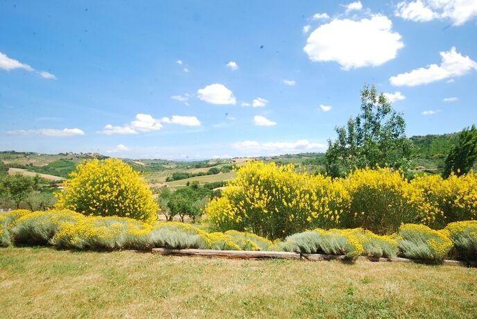 Imagen general del La Casella Agriturismo. Foto 11