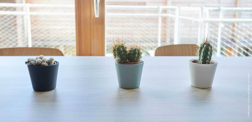 Imagen general del La Ferme des Ailleurs. Foto 7