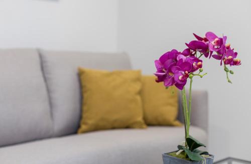 Imagen general del La Fuente de la Casona. Foto 5