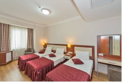 Imagen general del La Garden Hotel, Estambul. Foto 4