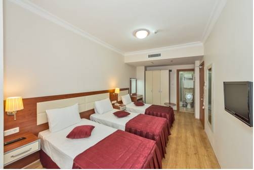 Imagen general del La Garden Hotel, Estambul. Foto 10