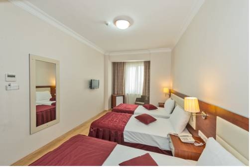 Imagen general del La Garden Hotel, Estambul. Foto 15
