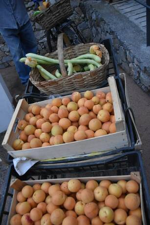 Imagen general del La Gioiosa, Calvisio. Foto 12