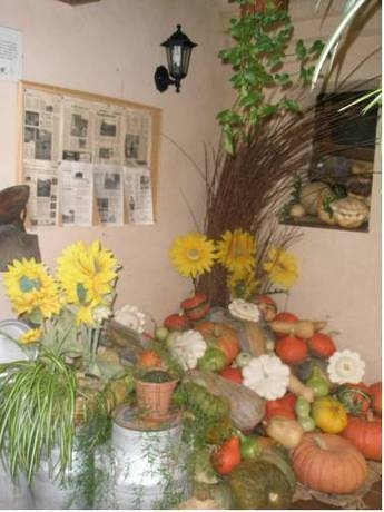 Imagen general del La Huerta De San Lorenzo. Foto 3