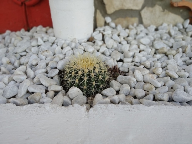 Imagen de la habitación del La Magnolia, Valmontone. Foto 8