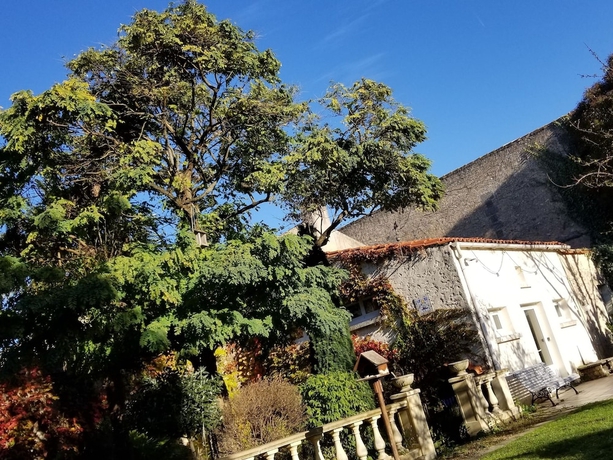 Imagen general del La Maison Blanche, MARGAUX. Foto 1