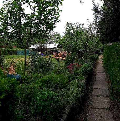 Imagen general del La Mariana. Foto 6