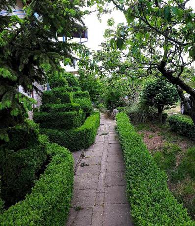 Imagen general del La Mariana. Foto 7