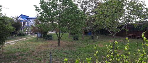 Imagen general del La Mariana. Foto 11