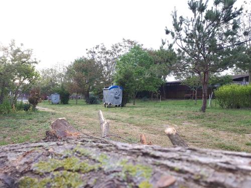 Imagen general del La Mariana. Foto 12