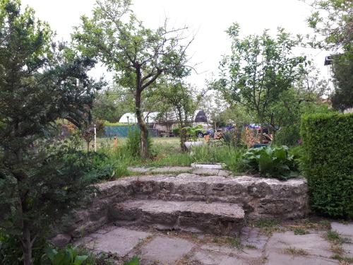 Imagen general del La Mariana. Foto 13