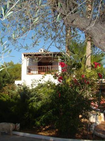 Imagen general del La Palmera Ibiza. Foto 8