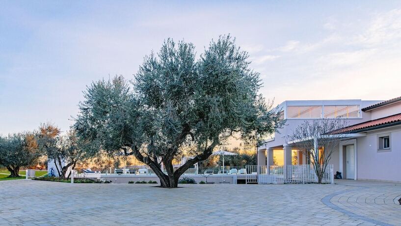 Imagen general del La Perla tra gli Ulivi 12. Foto 13