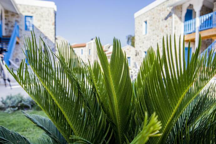 Imagen general del La Petra Datca. Foto 4