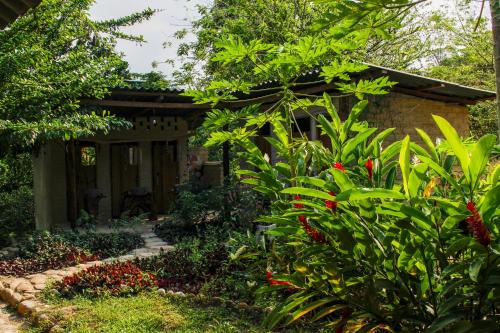 Imagen general del La Ponderosa Reserve. Foto 5