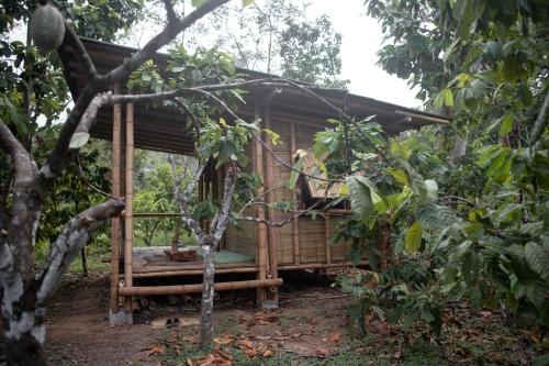 Imagen de la habitación del La Ponderosa Reserve. Foto 18