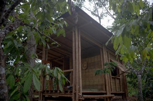 Imagen general del La Ponderosa Reserve. Foto 11