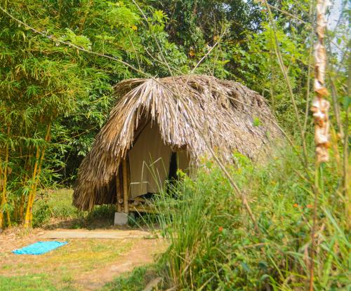 Imagen de la habitación del La Ponderosa Reserve. Foto 19