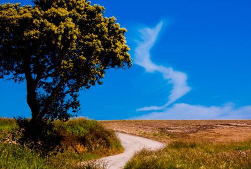 Imagen general del La Posada de Langre Anexo. Foto 6
