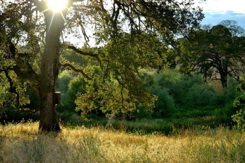 Imagen general del La Quinta Inn and Suites by Wyndham Lincoln. Foto 2