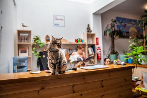 Imagen general del La Ventana Azul Surf Hostel. Foto 5