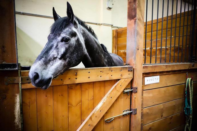 Imagen general del La Viscontina. Foto 4