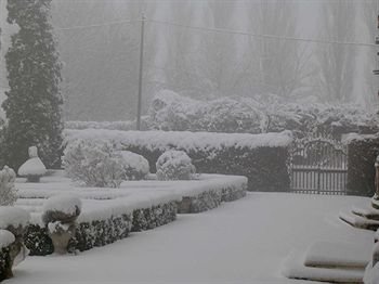 Imagen general del La Zambonina. Foto 14