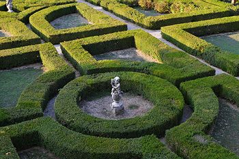 Imagen general del La Zambonina. Foto 15