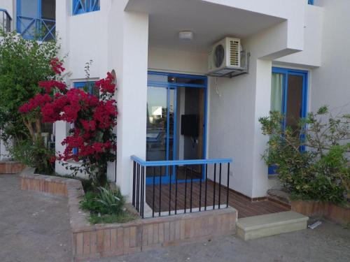 Imagen general del La casa beach. Foto 3