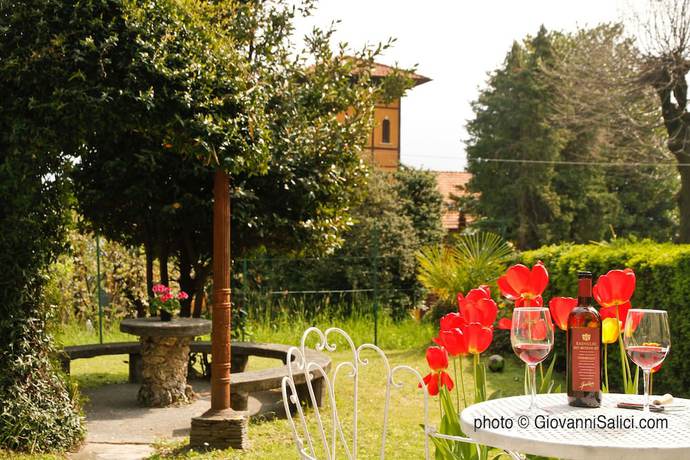 Imagen de los exteriores del Lake Como Peace Lodge - Hostel. Foto 13