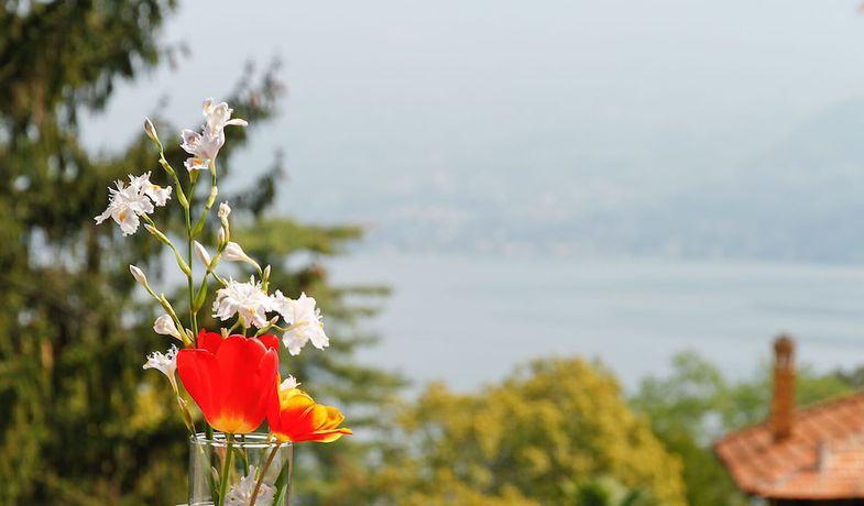 Imagen general del Lake Como Peace Lodge - Hostel. Foto 4