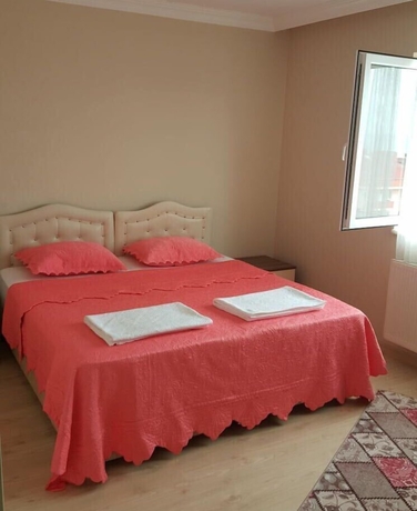 Imagen de la habitación del Lale Apart, Ortahisar. Foto 11