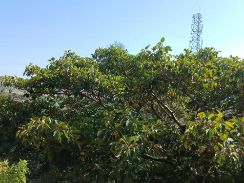 Imagen de la habitación del Lalibela BETE ABRAHAM HOTEL. Foto 17