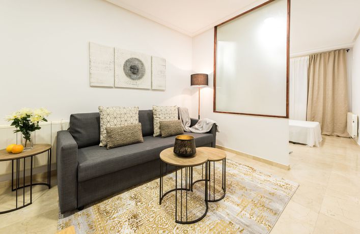 Imagen general del L&h Plaza Espa&ntilde;a. Foto 8