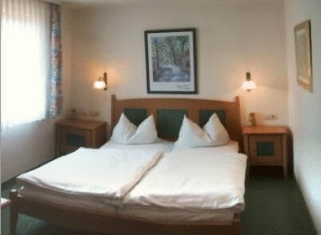 Imagen general del Landgasthaus zur Brücke. Foto 6