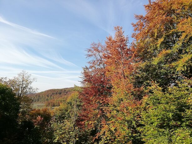 Imagen general del Landgasthaus zur Brücke. Foto 11