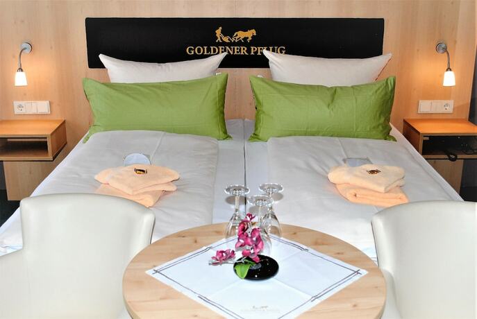 Imagen de la habitación del Landgasthof Goldener Pflug. Foto 11