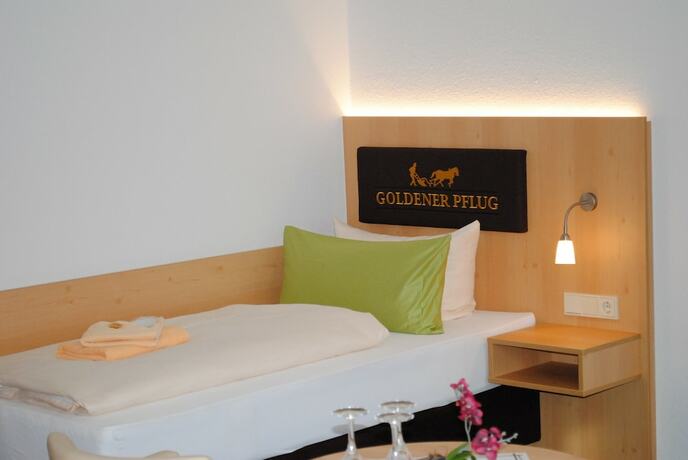 Imagen de la habitación del Landgasthof Goldener Pflug. Foto 12